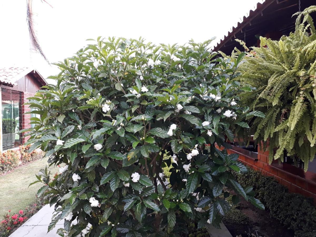 Chale Aconchegante Na Serra Pernambucana - Em Condominio - Gravata Exteriér fotografie