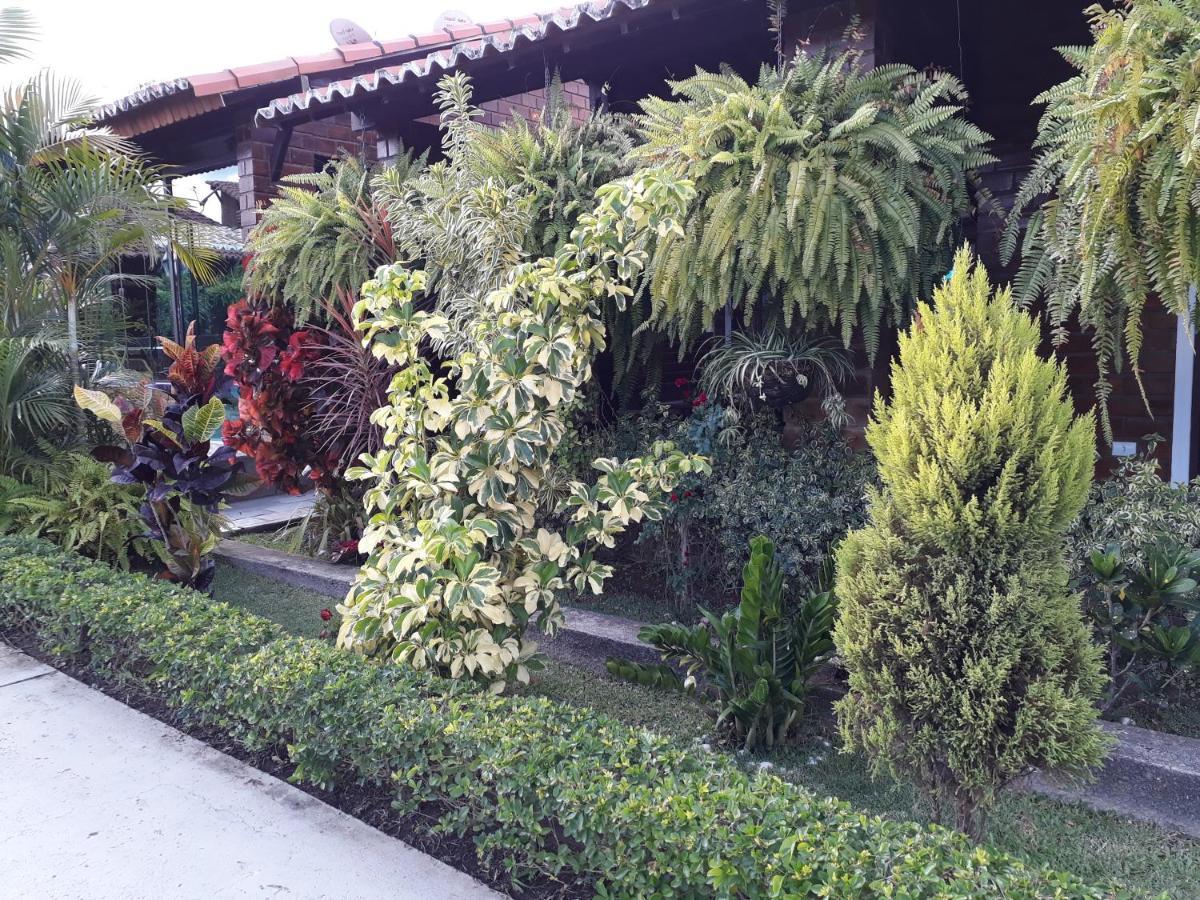 Chale Aconchegante Na Serra Pernambucana - Em Condominio - Gravata Exteriér fotografie